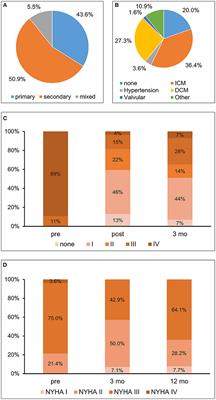 Right Ventricular Function Improves Early After Percutaneous Mitral Valve Repair in Patients Suffering From Severe Mitral Regurgitation